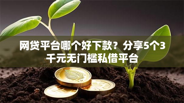 网贷平台哪个好下款？分享5个3千元无门槛私借平台