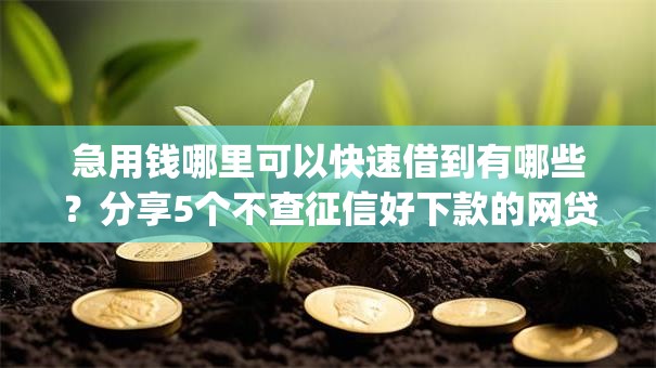 急用钱哪里可以快速借到有哪些？分享5个不查征信好下款的网贷app