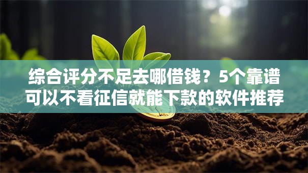 综合评分不足去哪借钱？5个靠谱可以不看征信就能下款的软件推荐