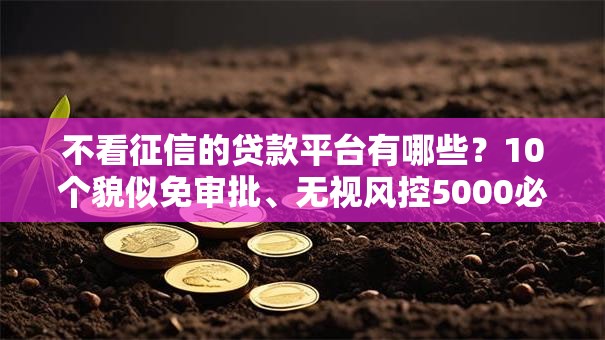 不看征信的贷款平台有哪些？10个貌似免审批、无视风控5000必下口子合集