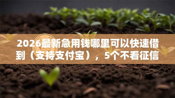 2026最新急用钱哪里可以快速借到（支持支付宝），5个不看征信容易贷款的平台无私分享