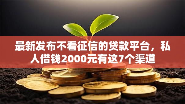 最新发布不看征信的贷款平台，私人借钱2000元有这7个渠道