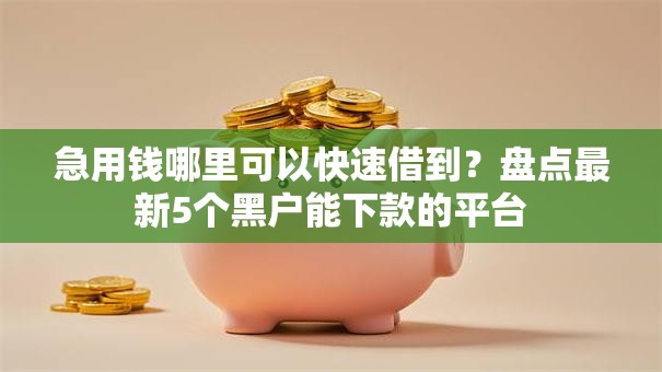急用钱哪里可以快速借到？盘点最新5个黑户能下款的平台