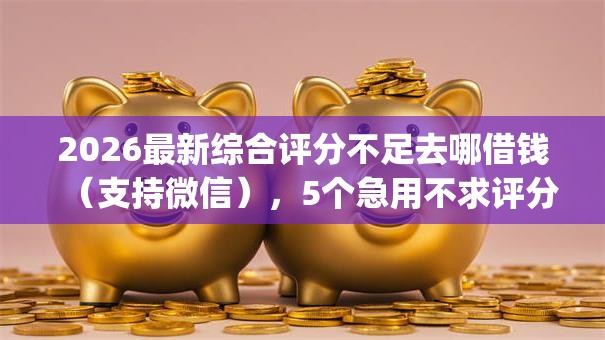 2026最新综合评分不足去哪借钱（支持微信），5个急用不求评分快借无忧的app无私分享