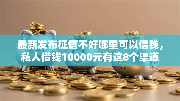 最新发布征信不好哪里可以借钱，私人借钱10000元有这8个渠道