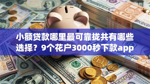 小额贷款哪里最可靠拢共有哪些选择？9个花户3000秒下款app详解