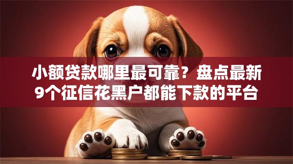 小额贷款哪里最可靠？盘点最新9个征信花黑户都能下款的平台