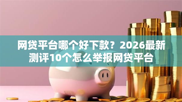 网贷平台哪个好下款？2026最新测评10个怎么举报网贷平台