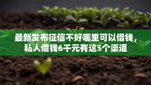 最新发布征信不好哪里可以借钱，私人借钱6千元有这5个渠道