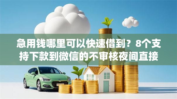 急用钱哪里可以快速借到？8个支持下款到微信的不审核夜间直接放款的网贷app