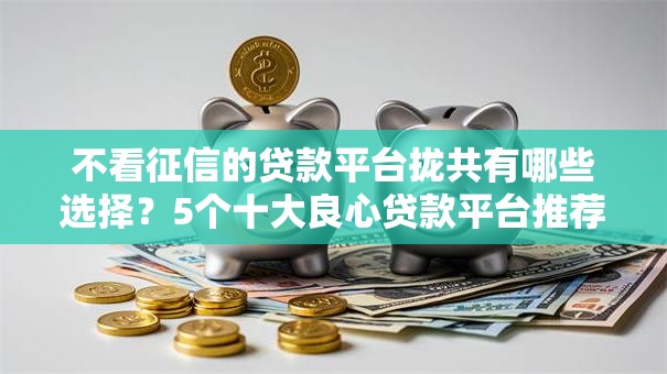 不看征信的贷款平台拢共有哪些选择？5个十大良心贷款平台推荐详解