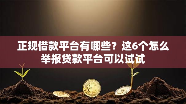 正规借款平台有哪些?这6个怎么举报贷款平台可以试试 正规借款平台有哪些?这6个怎么举报贷款平台可以试试