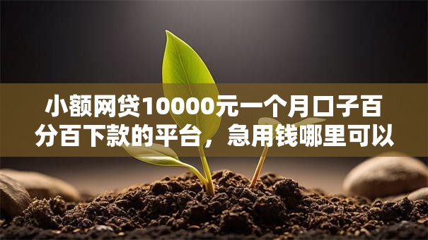 小额网贷10000元一个月口子百分百下款的平台，急用钱哪里可以快速借到的5个平台介绍