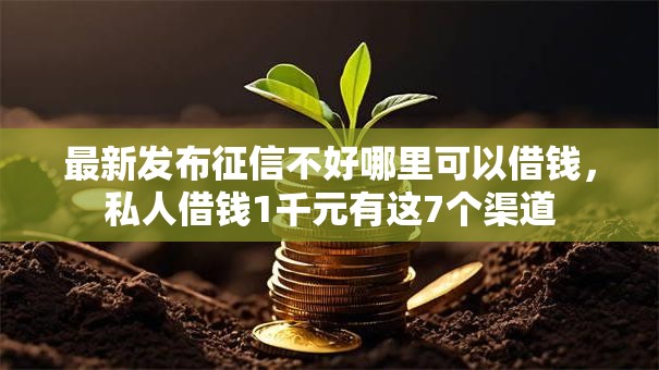 最新发布征信不好哪里可以借钱，私人借钱1千元有这7个渠道