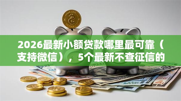 2026最新小额贷款哪里最可靠（支持微信），5个最新不查征信的口子无私分享