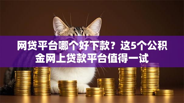 网贷平台哪个好下款？这5个公积金网上贷款平台值得一试