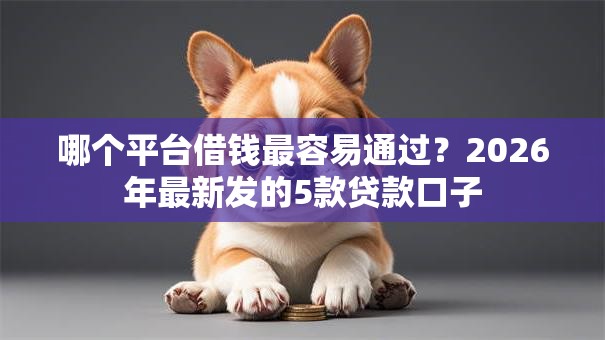哪个平台借钱最容易通过?2026年最新发的5款贷款口子 哪个平台借钱最容易通过?2026年最新发的5款贷款口子