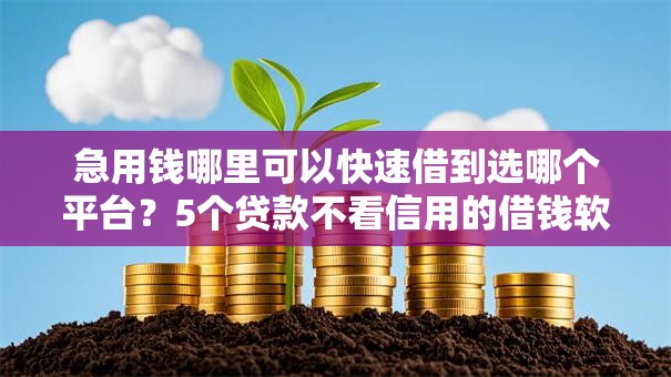 急用钱哪里可以快速借到选哪个平台？5个贷款不看信用的借钱软件推荐