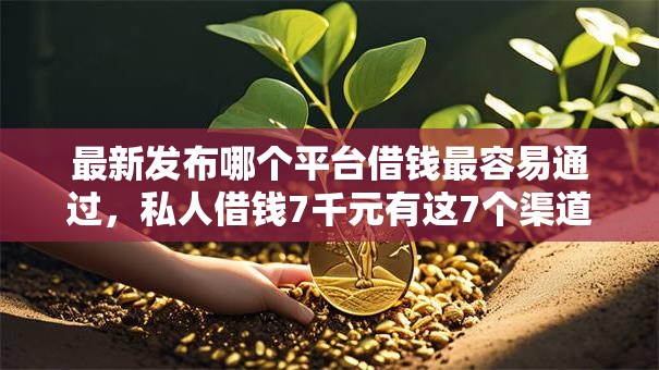 最新发布哪个平台借钱最容易通过，私人借钱7千元有这7个渠道