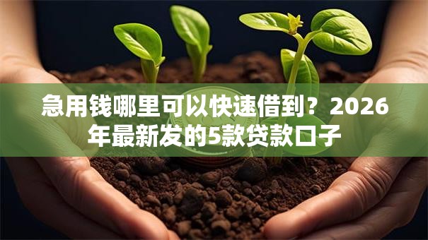 急用钱哪里可以快速借到?2026年最新发的5款贷款口子 急用钱哪里可以快速借到?2026年最新发的5款贷款口子