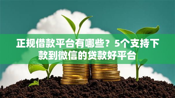 正规借款平台有哪些？5个支持下款到微信的贷款好平台