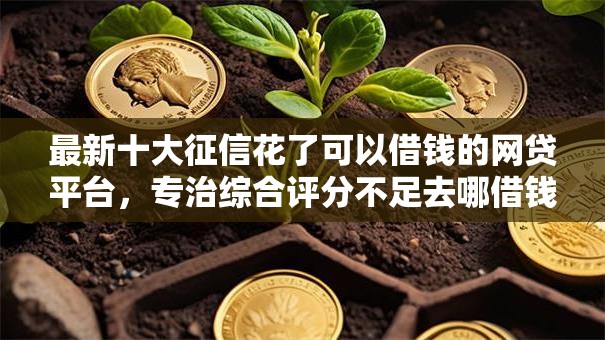 最新十大征信花了可以借钱的网贷平台,专治综合评分不足去哪借钱 最新十大征信花了可以借钱的网贷平台,专治综合评分不足去哪借钱