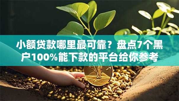 小额贷款哪里最可靠?盘点7个黑户100%能下款的平台给你参考 小额贷款哪里最可靠?盘点7个黑户100%能下款的平台给你参考