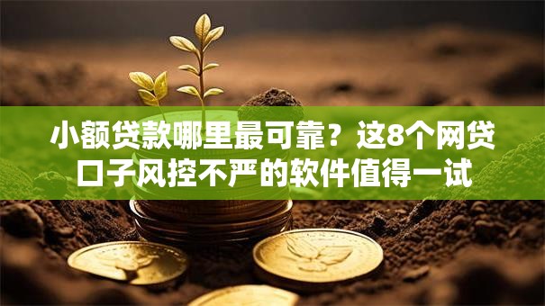 小额贷款哪里最可靠？这8个网贷口子风控不严的软件值得一试