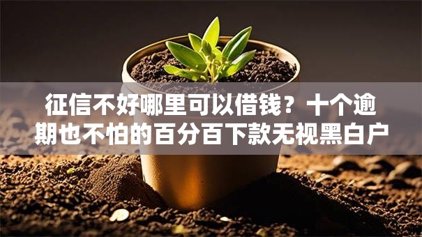征信不好哪里可以借钱？十个逾期也不怕的百分百下款无视黑白户网贷软件