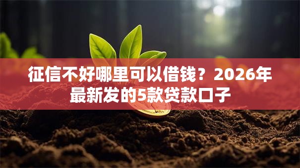 征信不好哪里可以借钱？2026年最新发的5款贷款口子