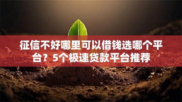 征信不好哪里可以借钱选哪个平台？5个极速贷款平台推荐