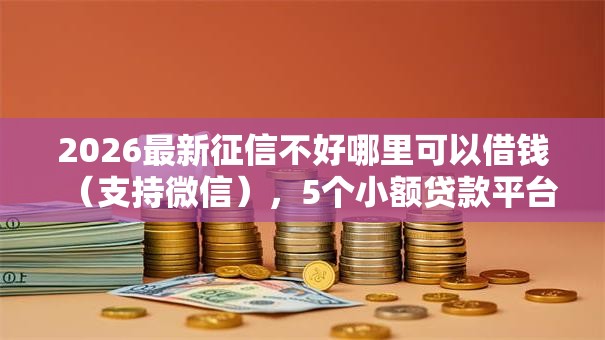 2026最新征信不好哪里可以借钱（支持微信），5个小额贷款平台好无私分享