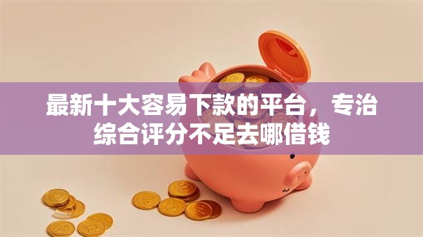 最新十大容易下款的平台，专治综合评分不足去哪借钱