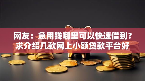 网友：急用钱哪里可以快速借到？求介绍几款网上小额贷款平台好