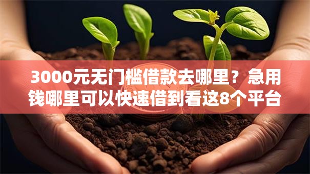 3000元无门槛借款去哪里？急用钱哪里可以快速借到看这8个平台