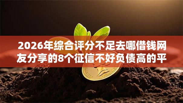 2026年综合评分不足去哪借钱网友分享的8个征信不好负债高的平台我觉得不错！