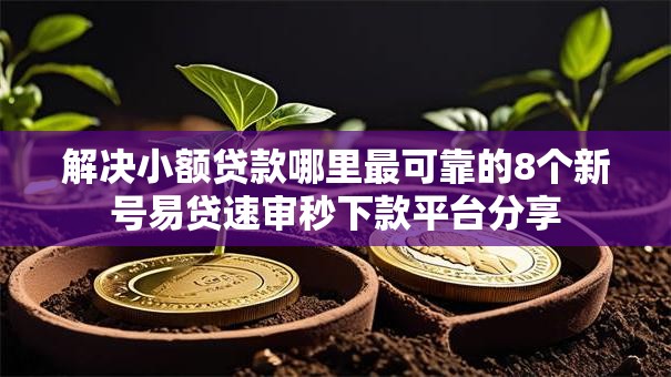 解决小额贷款哪里最可靠的8个新号易贷速审秒下款平台分享
