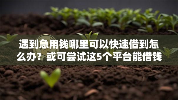 遇到急用钱哪里可以快速借到怎么办？或可尝试这5个平台能借钱