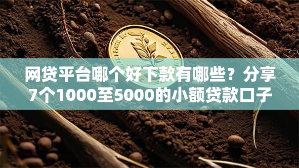 网贷平台哪个好下款有哪些？分享7个1000至5000的小额贷款口子