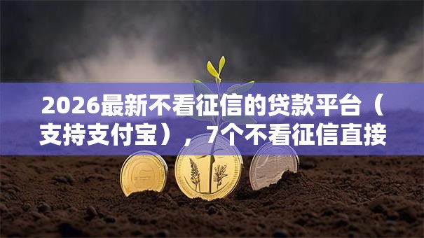 2026最新不看征信的贷款平台（支持支付宝），7个不看征信直接放款的平台无私分享