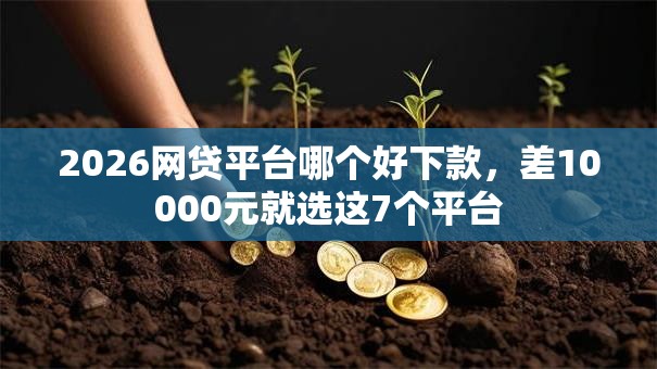 2026网贷平台哪个好下款，差10000元就选这7个平台