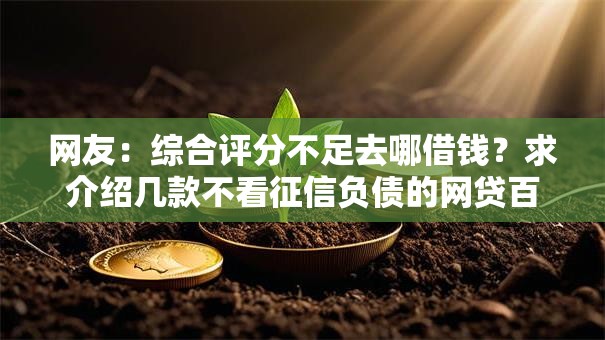 网友：综合评分不足去哪借钱？求介绍几款不看征信负债的网贷百分百下款软件