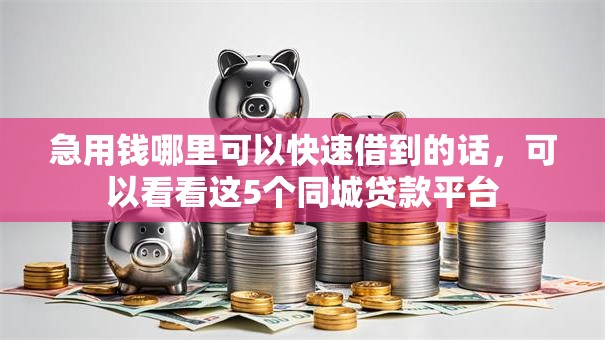 急用钱哪里可以快速借到的话，可以看看这5个同城贷款平台