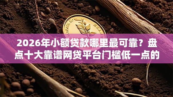 2026年小额贷款哪里最可靠？盘点十大靠谱网贷平台门槛低一点的口子