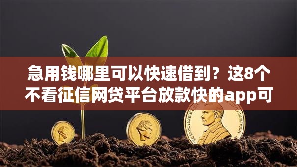 急用钱哪里可以快速借到？这8个不看征信网贷平台放款快的app可以试试