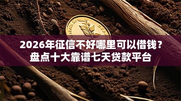 2026年征信不好哪里可以借钱？盘点十大靠谱七天贷款平台