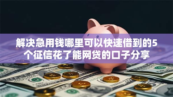 解决急用钱哪里可以快速借到的5个征信花了能网贷的口子分享