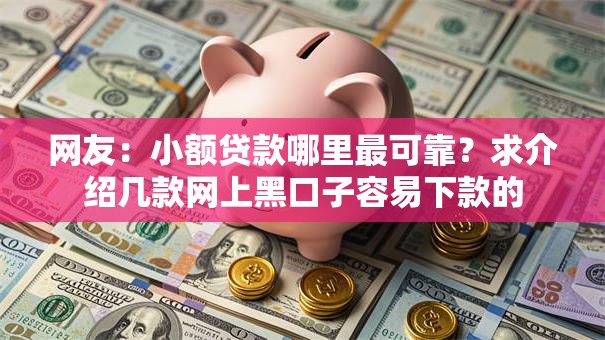 网友：小额贷款哪里最可靠？求介绍几款网上黑口子容易下款的