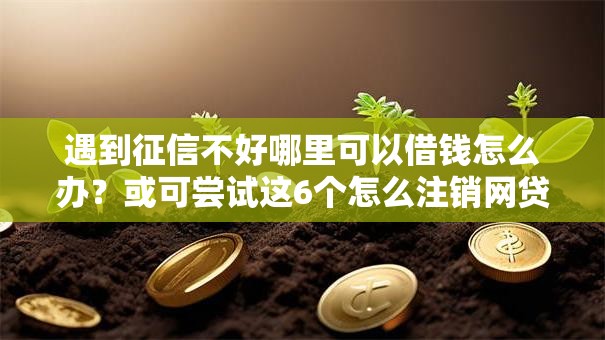 遇到征信不好哪里可以借钱怎么办？或可尝试这6个怎么注销网贷平台的账号