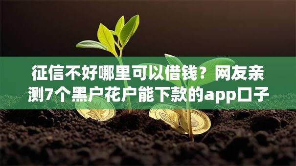征信不好哪里可以借钱？网友亲测7个黑户花户能下款的app口子盘点